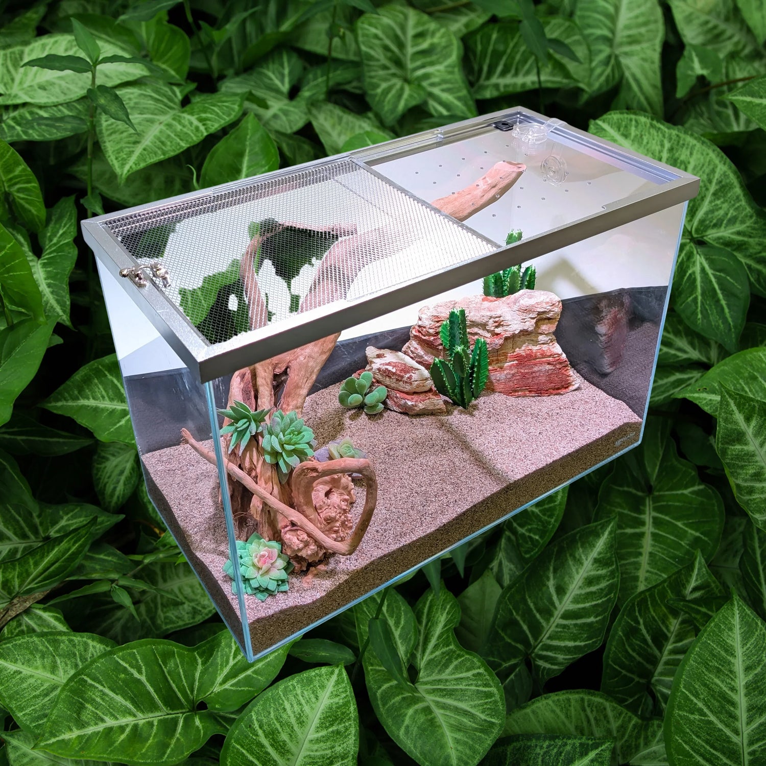 All-in-One Tanks