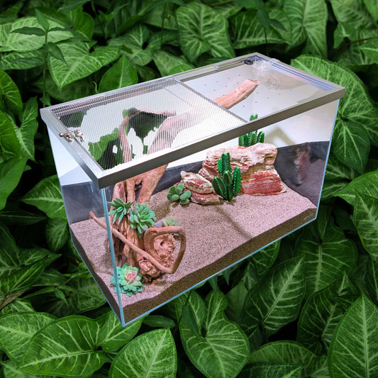 Lifegard Low Iron Glass 20 Gallon Rimless Long Terrarium